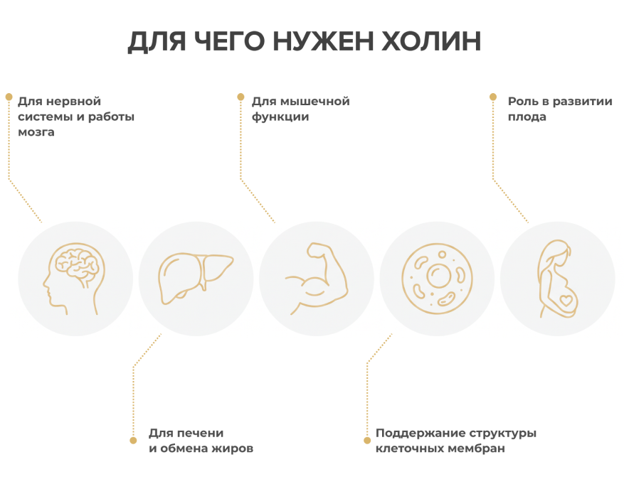 dlya-chego-nuzhen-kholin.png