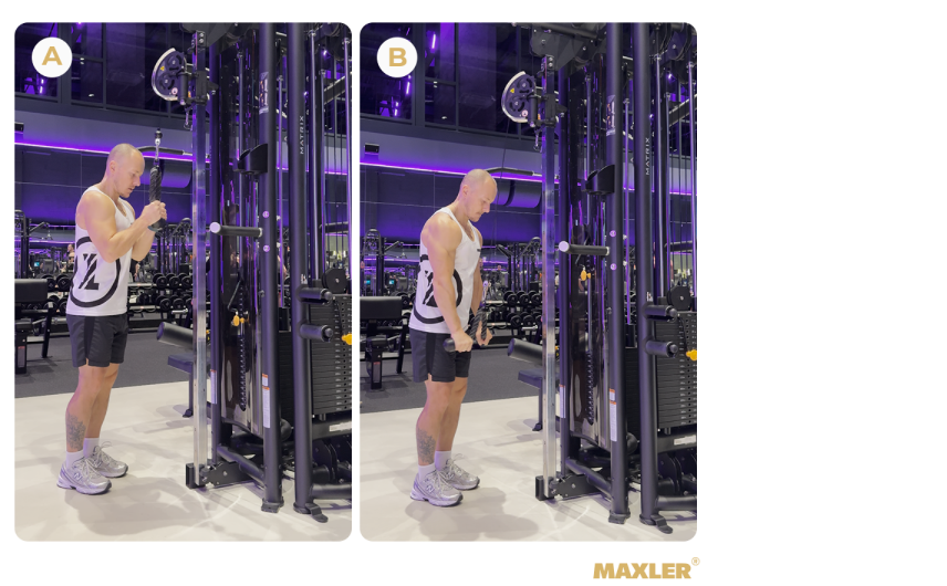 den3-superset-razgibaniye-na-tritseps.png