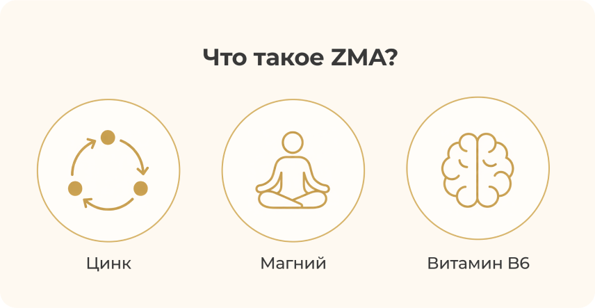 ZMA — для чего нужен и как правильно принимать 01 chto-takoye-zma.png