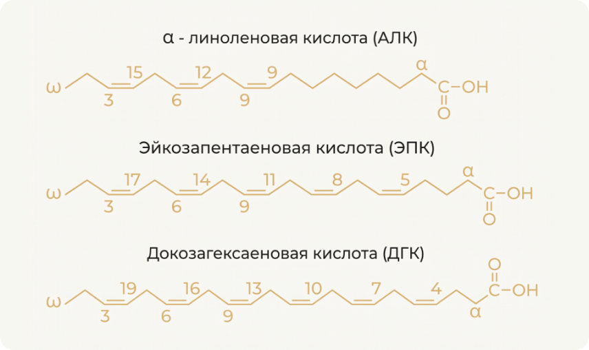 chto-takoye-omega-3.png