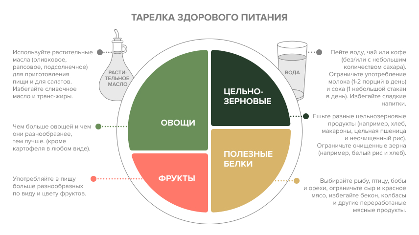 В каких продуктах содержится много белка?