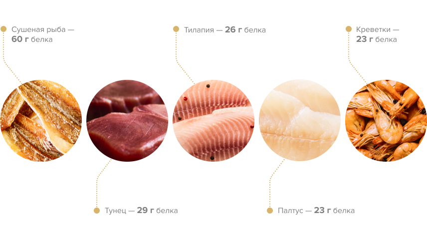 В каких продуктах содержится много белка?
