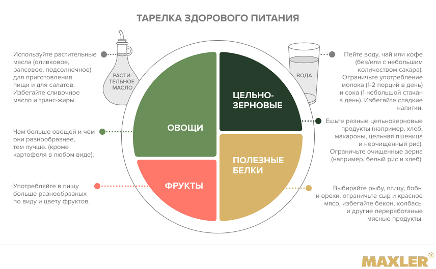 Правила здорового питания: принципы и советы 10