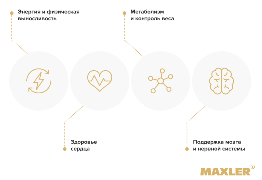 Для чего нужен L-карнитин и в чем его польза? 02