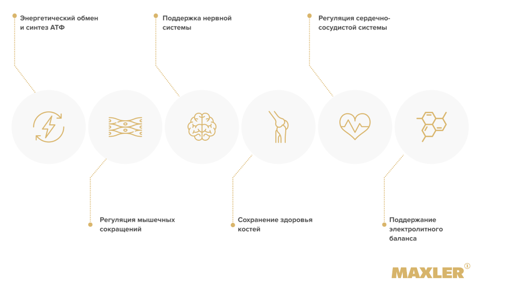 Магний — для чего нужен и как правильно принимать? 02