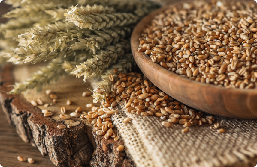 В каких продуктах много глютена 02