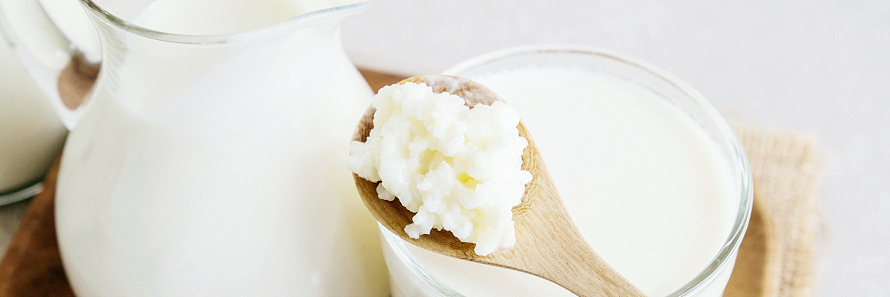 Пробиотики — что это такое и зачем нужны организму?