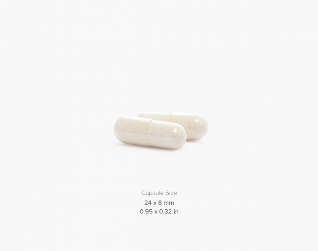 Лизин 500 мг (Lysine 500 mg) 2