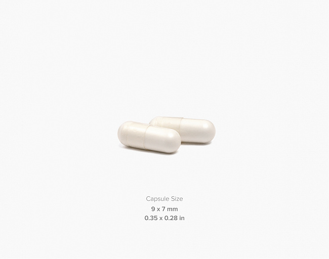 Цинк Пиколинат 25 мг (Zinc Picolinate 25 mg) 3