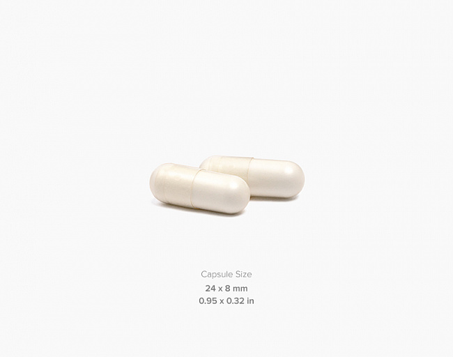 Глюкозамин Хондроитин ОптиМСМ (Glucosamine Chondroitin OptiMSM) 3