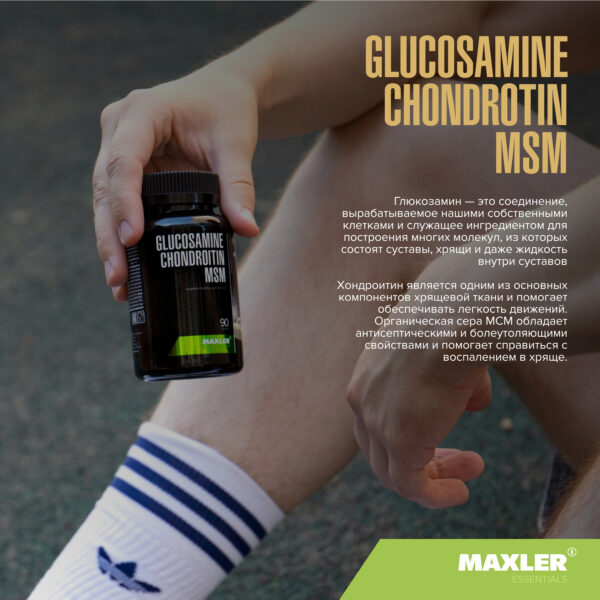 Глюкозамин Хондроитин MSM Glucosamine Chondroitin MSM 4