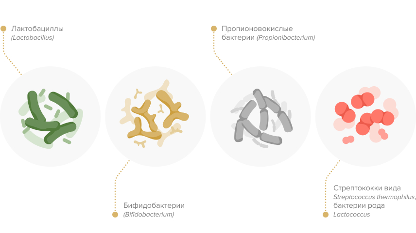 Пробиотики — что это такое и зачем нужны организму? 5