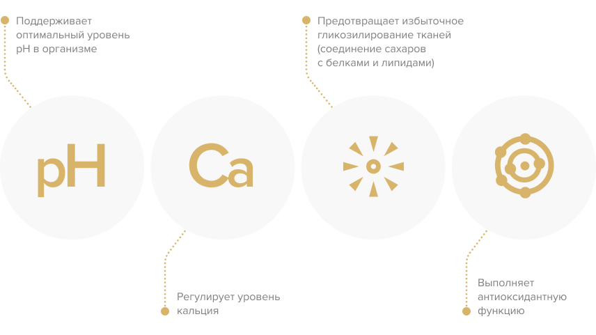 Изображение Топ-5 безопасных пищевых добавок для улучшения спортивных результатов 4