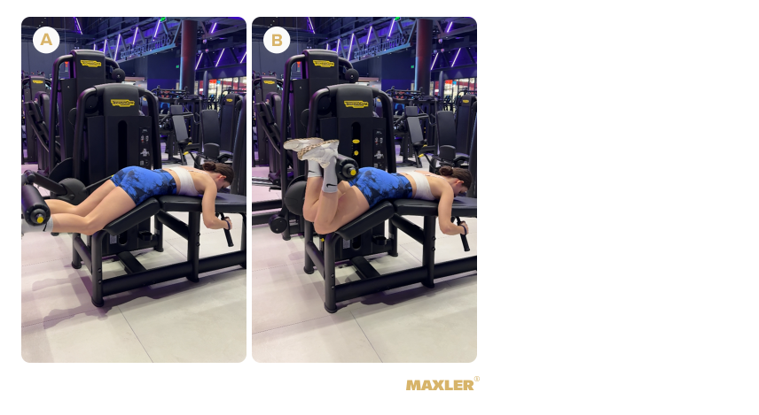 Программа тренировок для ягодиц для девушек 05