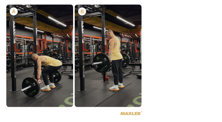 Программа тренировки фулбоди для мужчин 07