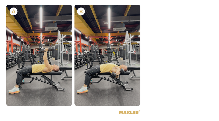 Программа тренировки фулбоди для мужчин 10