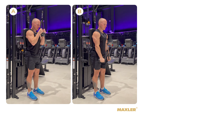 Программа тренировок в зале для новичков с акцентом на использование тренажёров 11