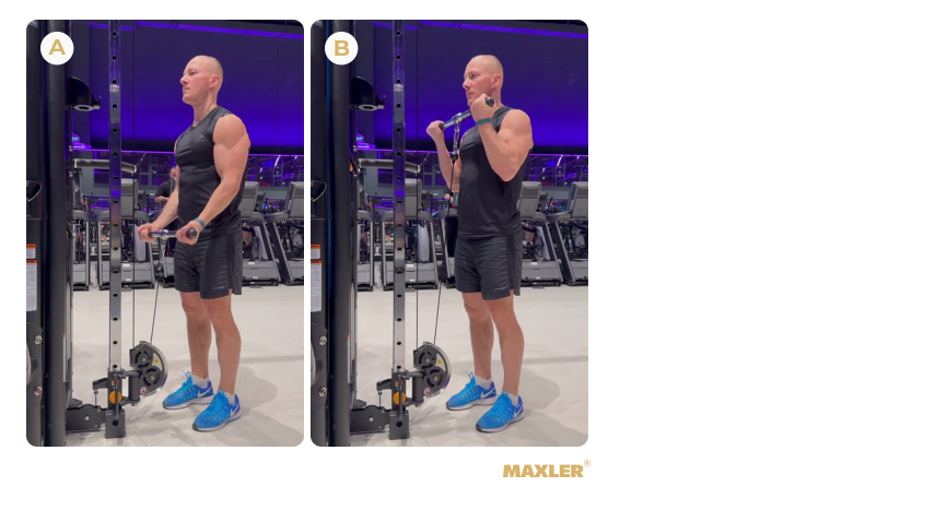 Программа тренировок в зале для новичков с акцентом на использование тренажёров 17