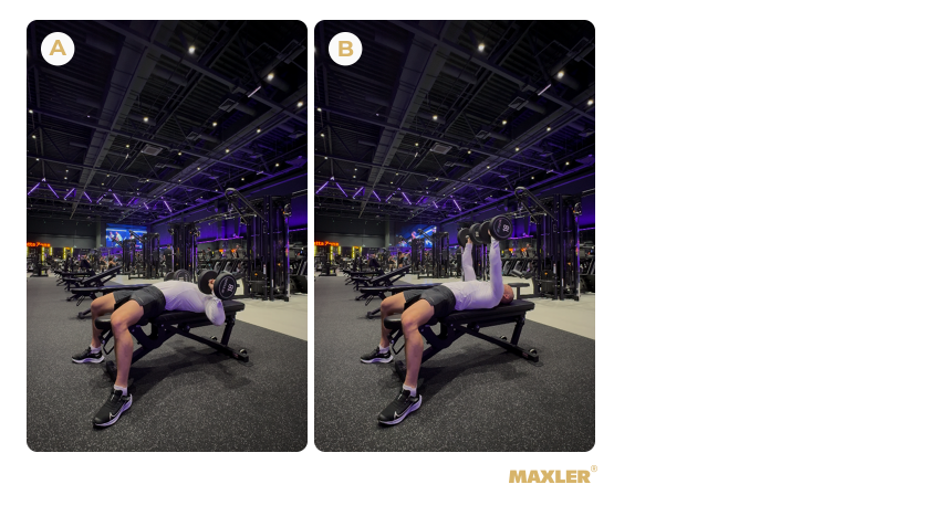 Программа тренировок в тренажёрном зале для начинающих 09