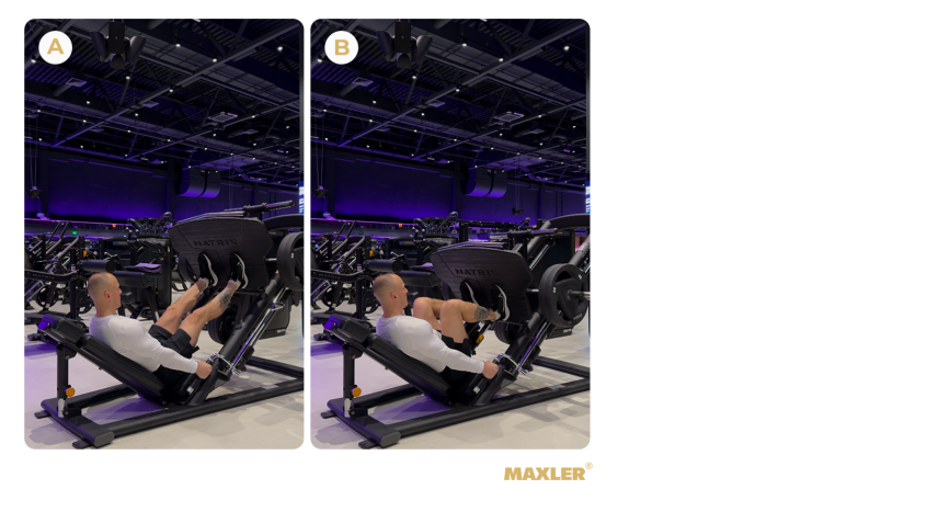 Программа тренировок в тренажёрном зале для начинающих 13