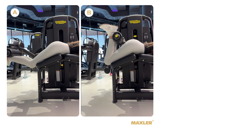 Программа тренировки ног для девушек: акцент на ягодицы и заднюю поверхность бедра 05