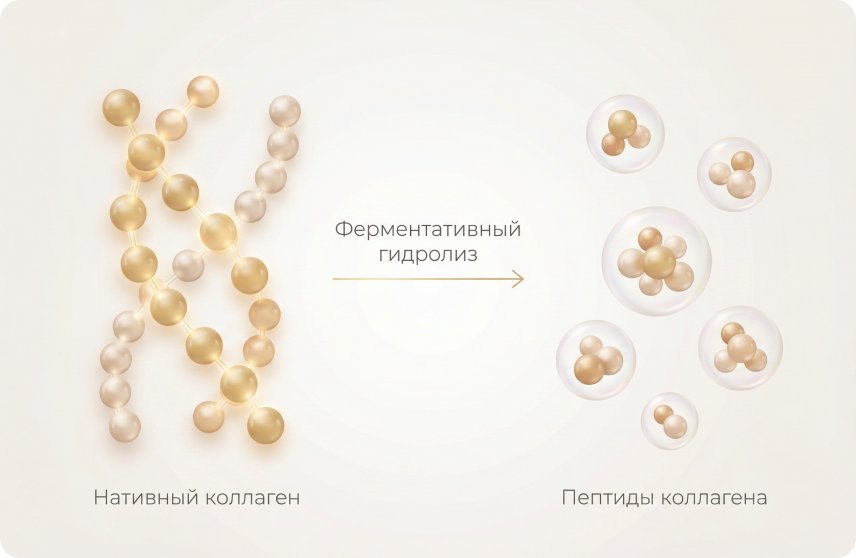 Как правильно принимать коллаген в порошке 01